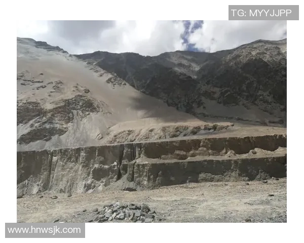 与周丽对话探索飞盘运动的魅力与挑战之路 与周丽对话探索飞盘运动的魅力与挑战之路